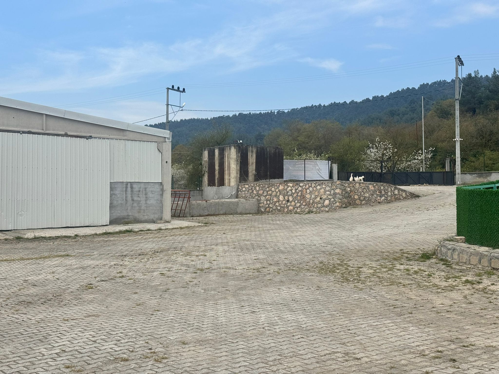 Tesis Dış Duvar Detayı